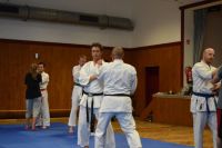 Bild (36)